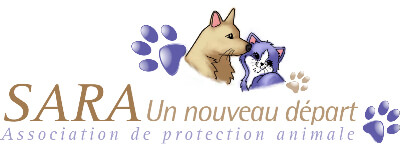 sara un nouveau depart